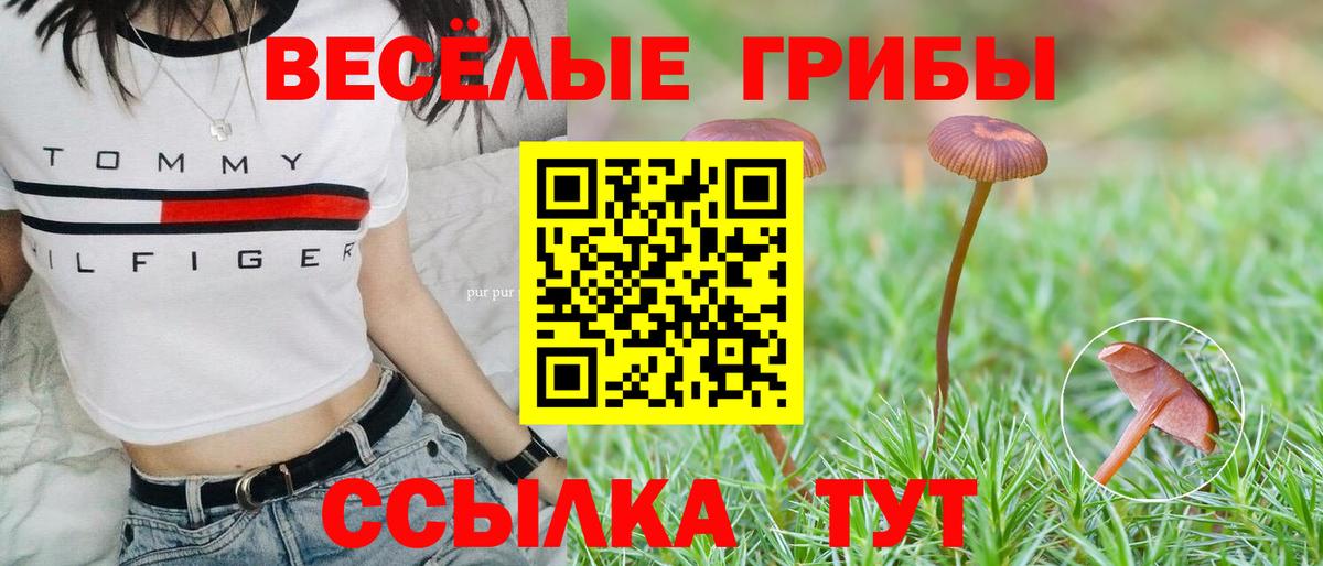 Псилоцибиновые грибы GOLDEN TEACHER Муром